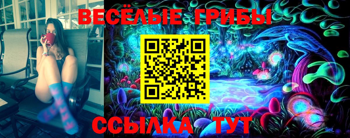 Галлюциногенные грибы мицелий Добрянка