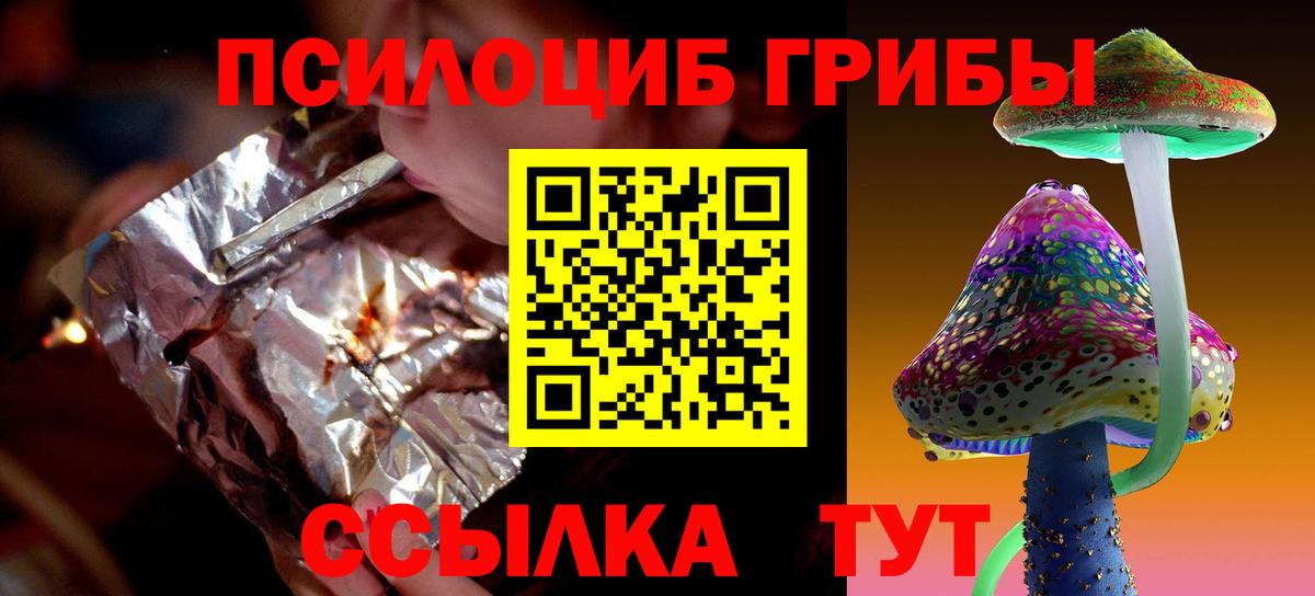 Добрянка  Псилоцибиновые грибы прущие грибы  Вход с VPN 